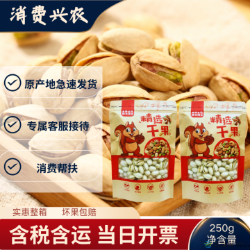 康乐县开心果250g/袋包邮