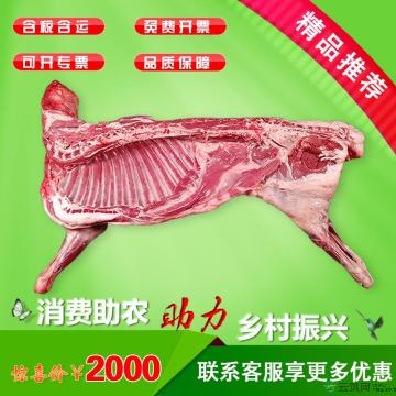 康乐县新鲜整羊【现杀】（30斤左右）