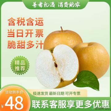 水果  香甜多汁 秋月梨 彩箱（多款彩箱随机）