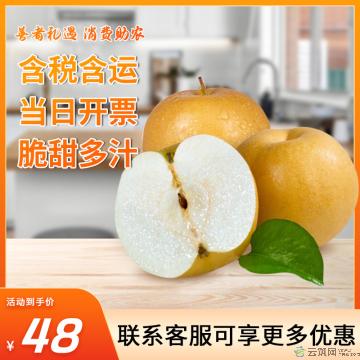 水果    香甜多汁 秋月梨大果  4.5斤