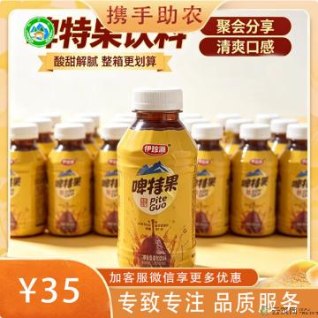 西北特色果茶（啤特果、杏皮茶、百香果红茶）