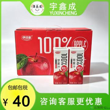 康乐县果汁苹果汁饮料