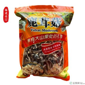 鹿茸菇