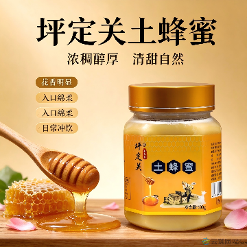 舟曲县夏华结实土蜂蜜500g/瓶