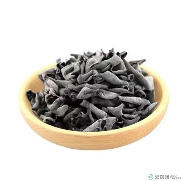 黑木耳