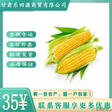 真空开袋即食水果玉米8根装