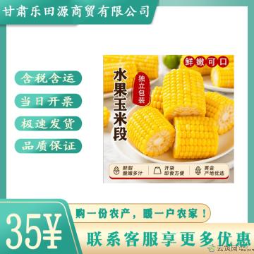 真空玉米段10段1箱营养代餐