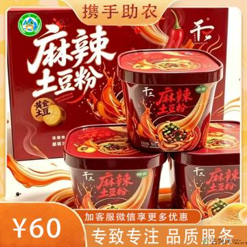 甘肃特产麻辣土豆粉方便即食