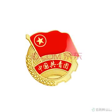 信发(trnfa)安全别针款 党徽团徽章/中国共青团胸章 (50个装)金属【中