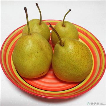 兰州冬果梨2500g