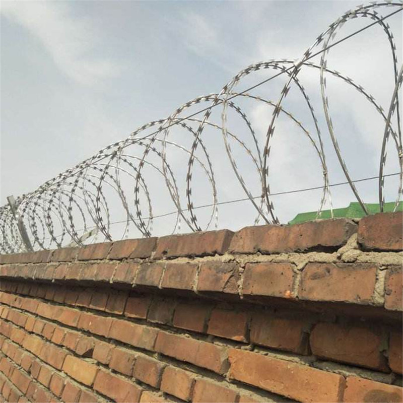 欧丽家/刀片刺丝 (川渝云贵)