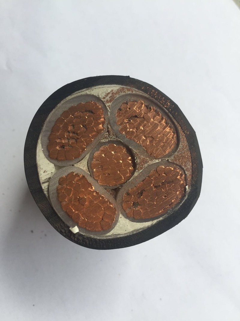 津盛yjv铜芯电缆 纯铜电缆线