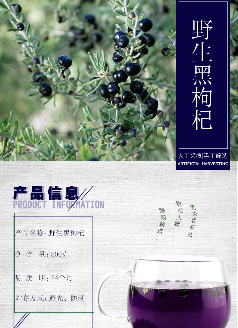 黑枸杞_01.jpg
