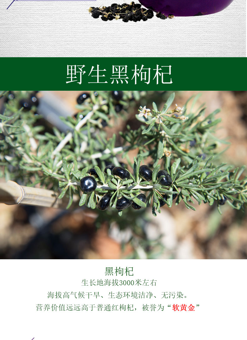 黑枸杞_02.jpg