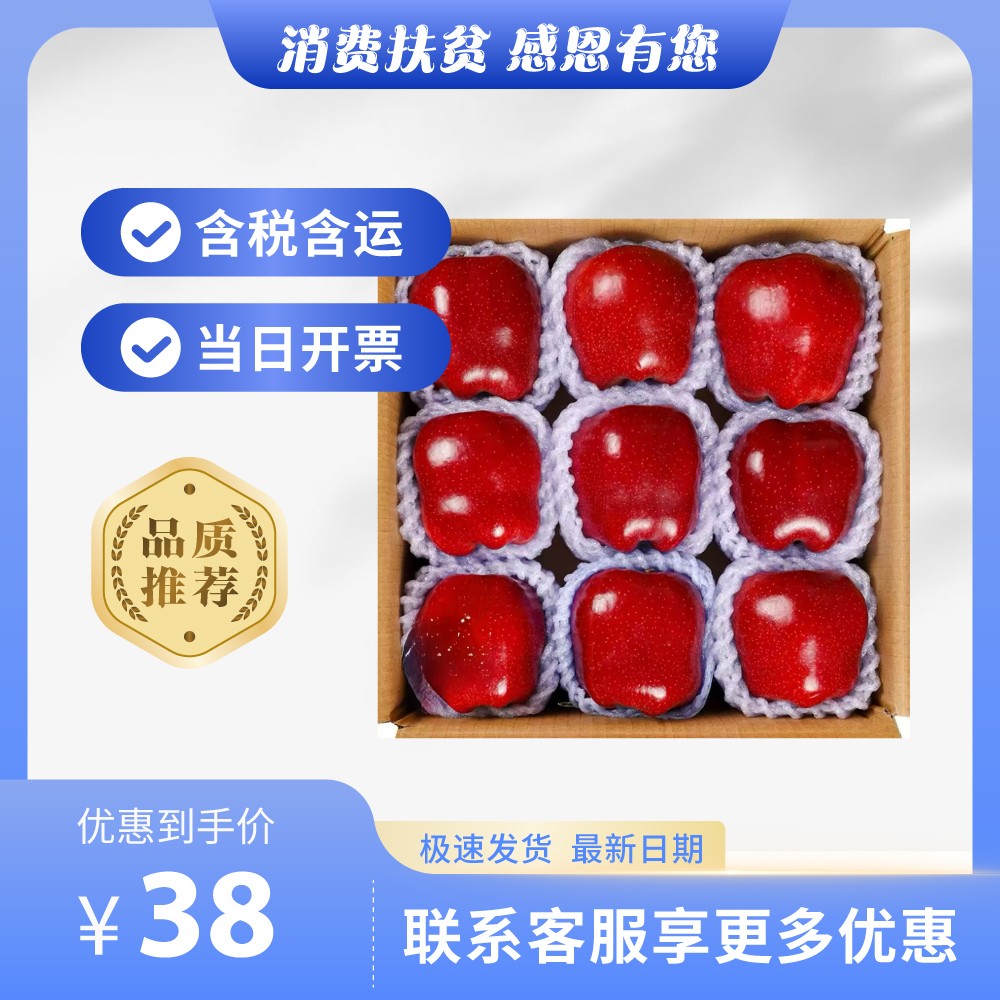 主-312.jpg