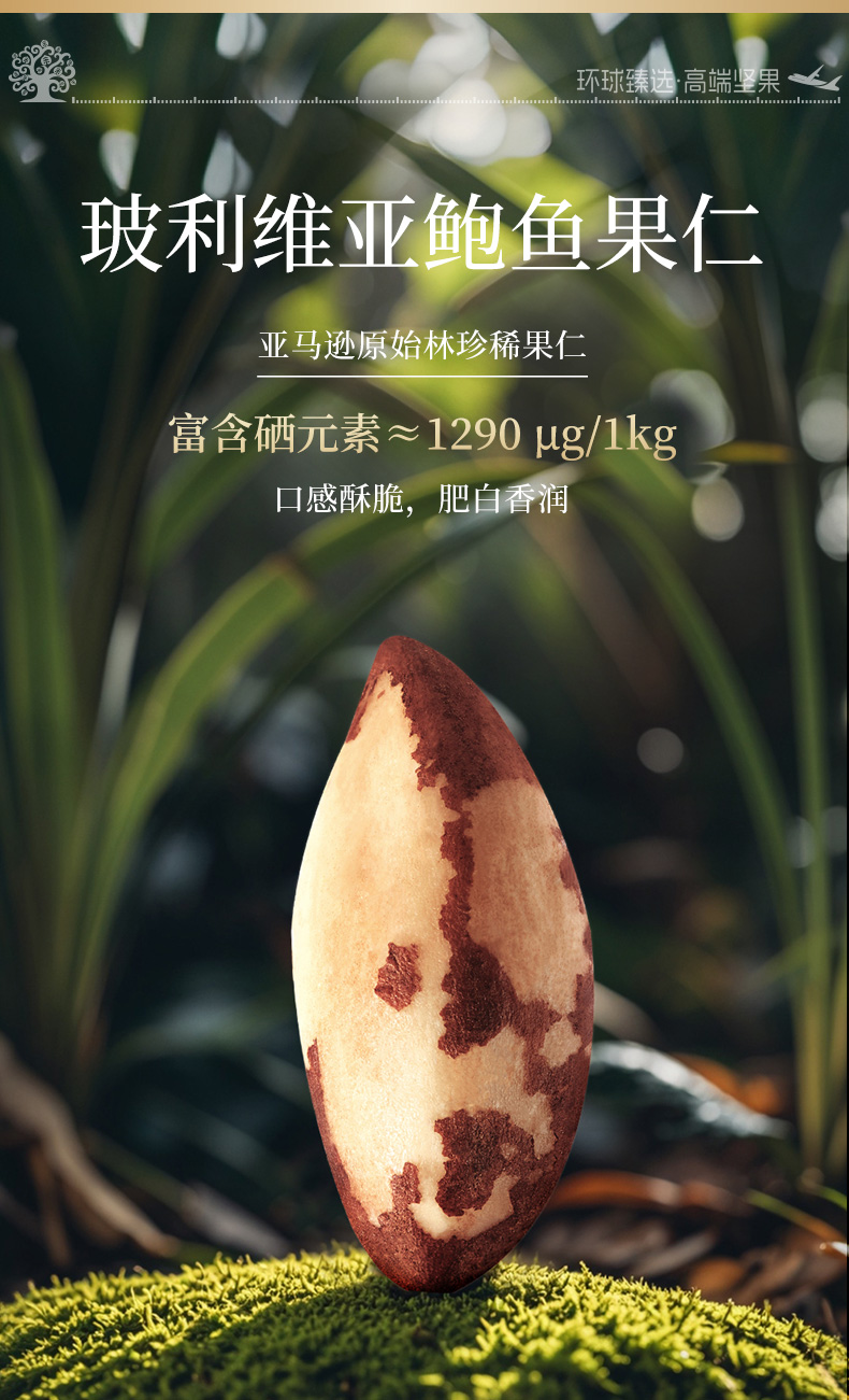 环球荟萃_06.jpg