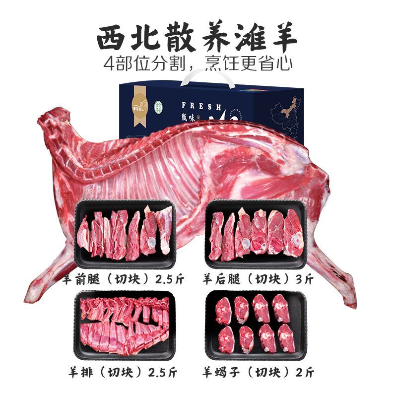 微信图片_20250906152322_12_19.jpg