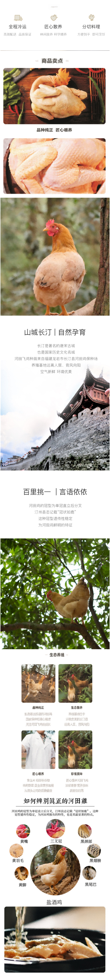 WPS拼图0(1)(1).png