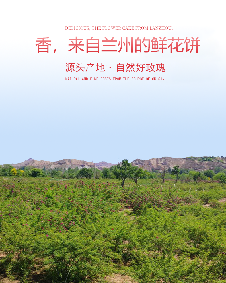 详情页2.png