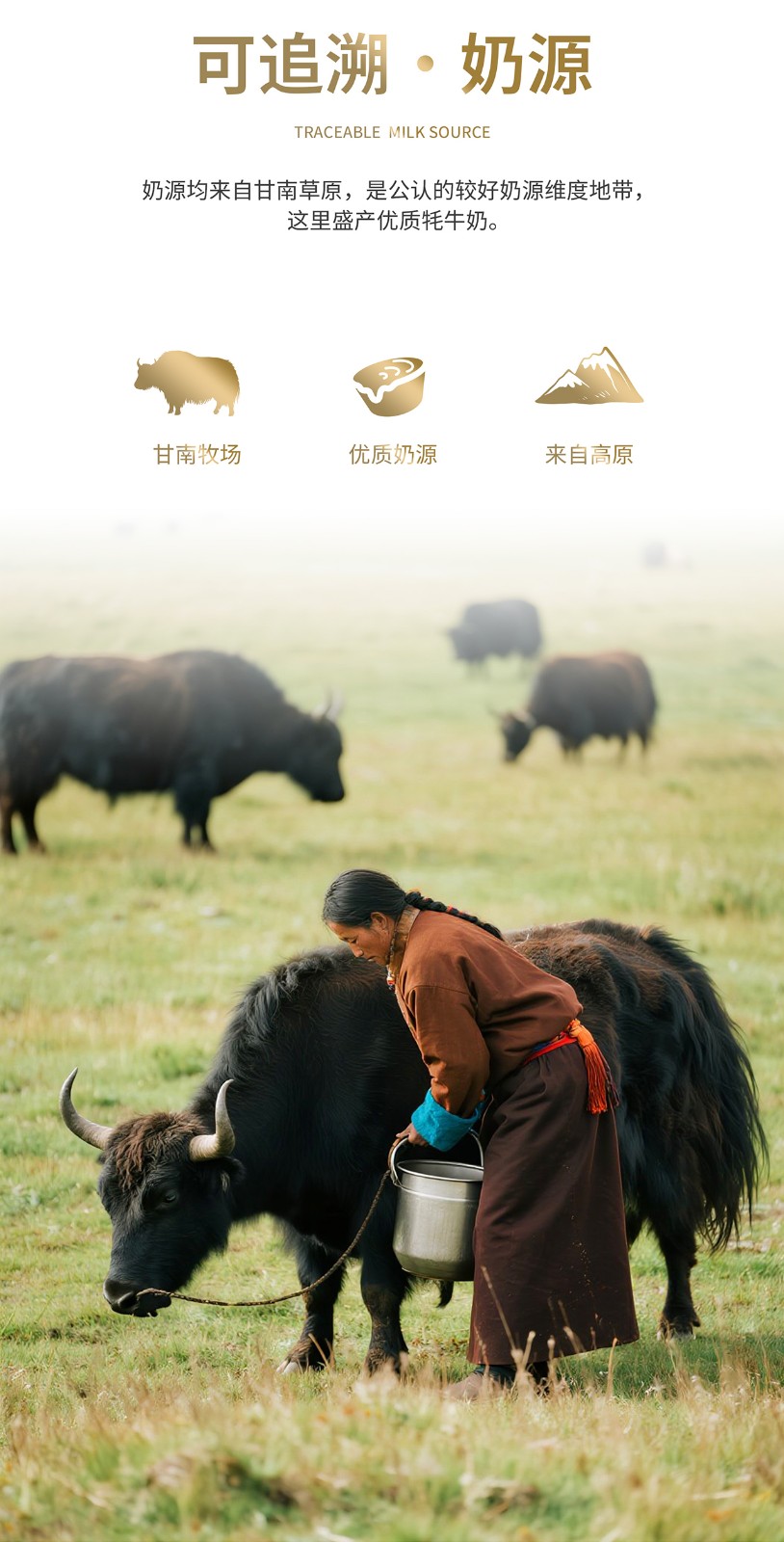 奶枣详情页_03.jpg