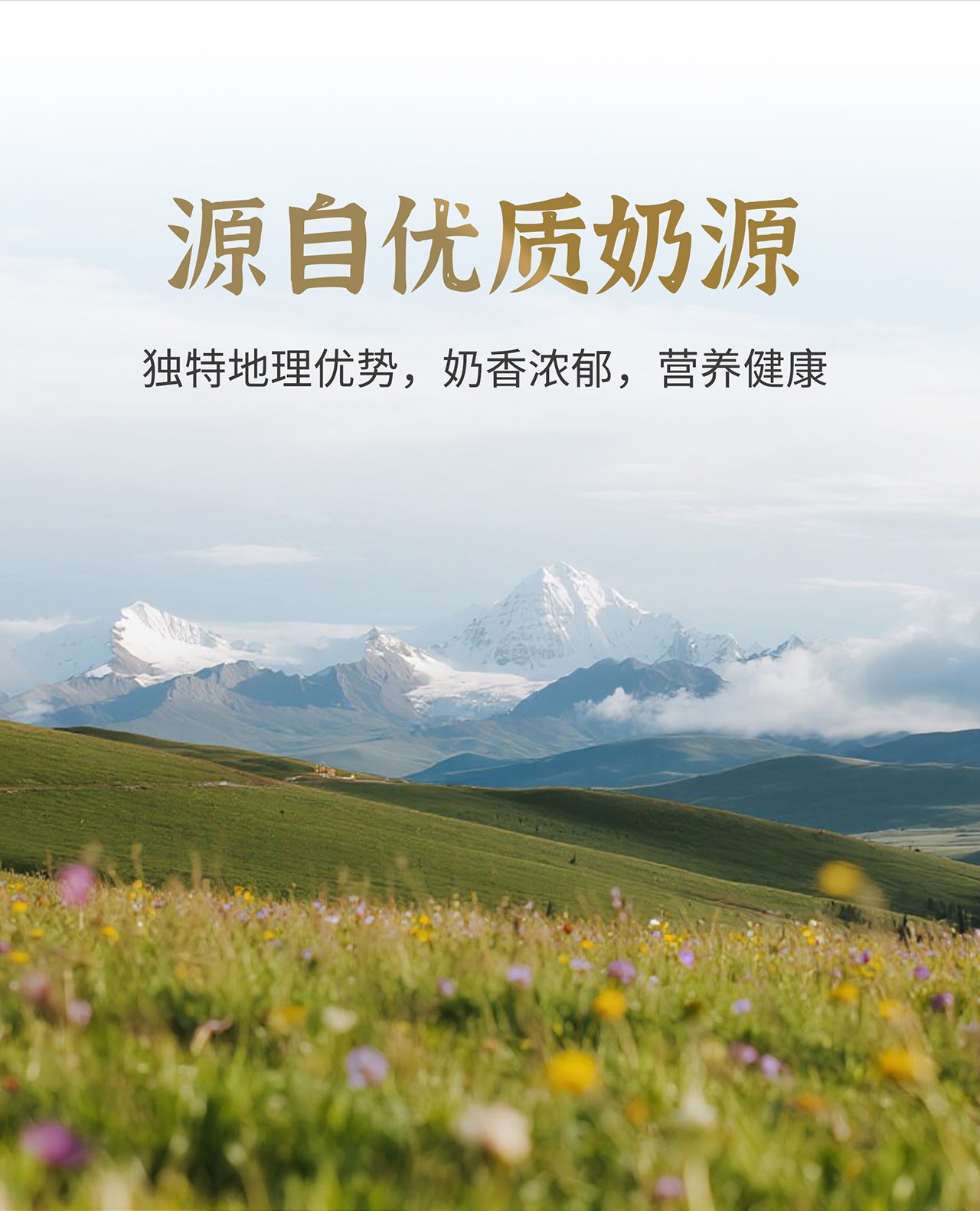 奶枣详情页_07.jpg