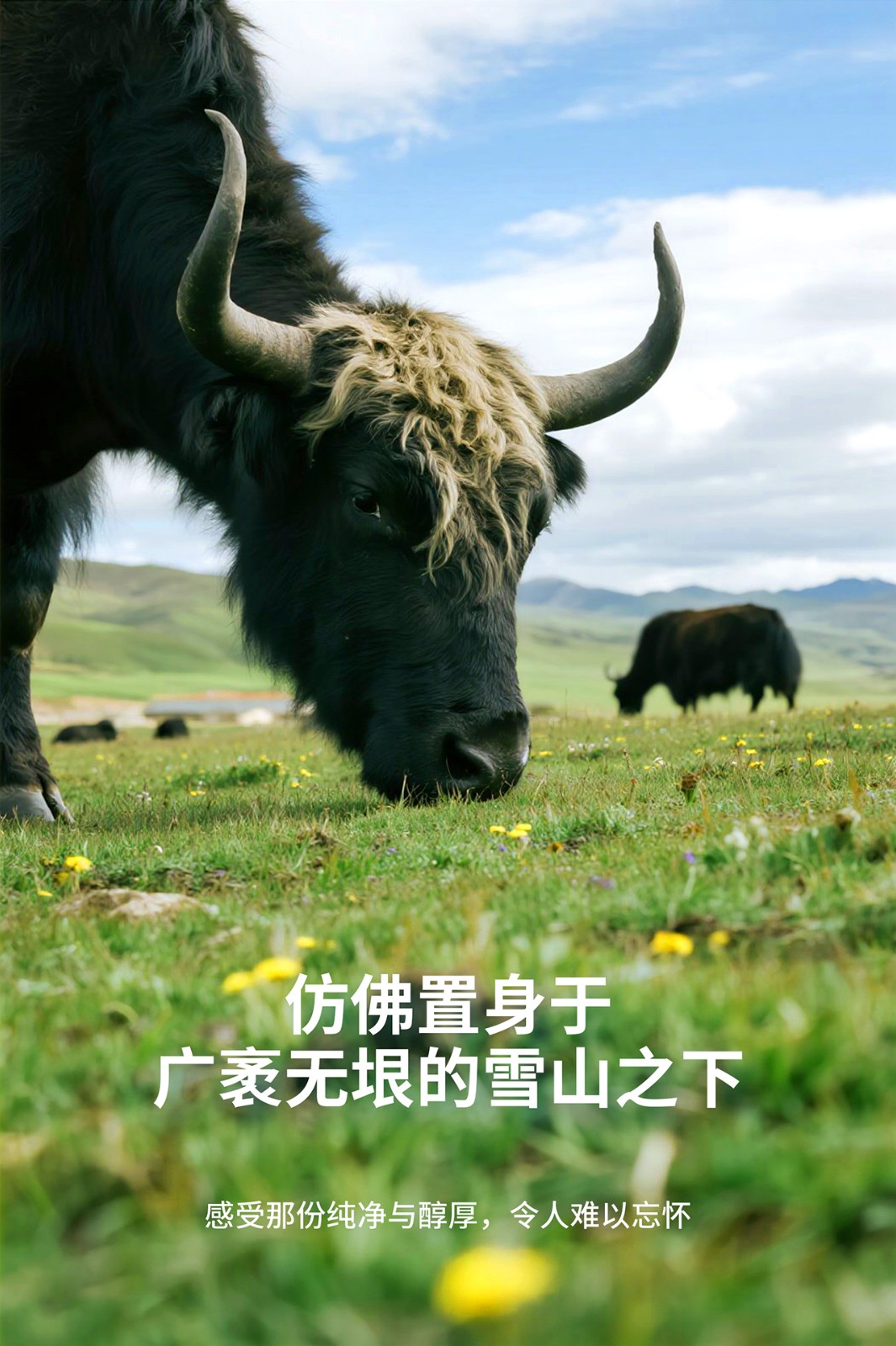 奶贝详情页_03.jpg