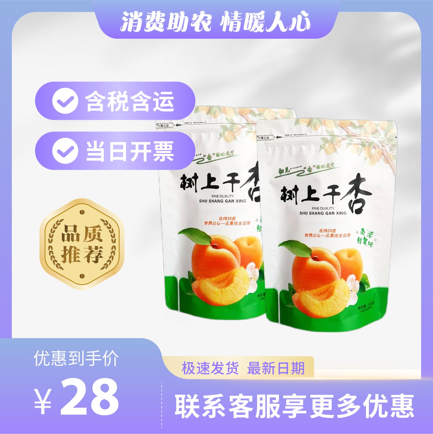 主-289.jpg