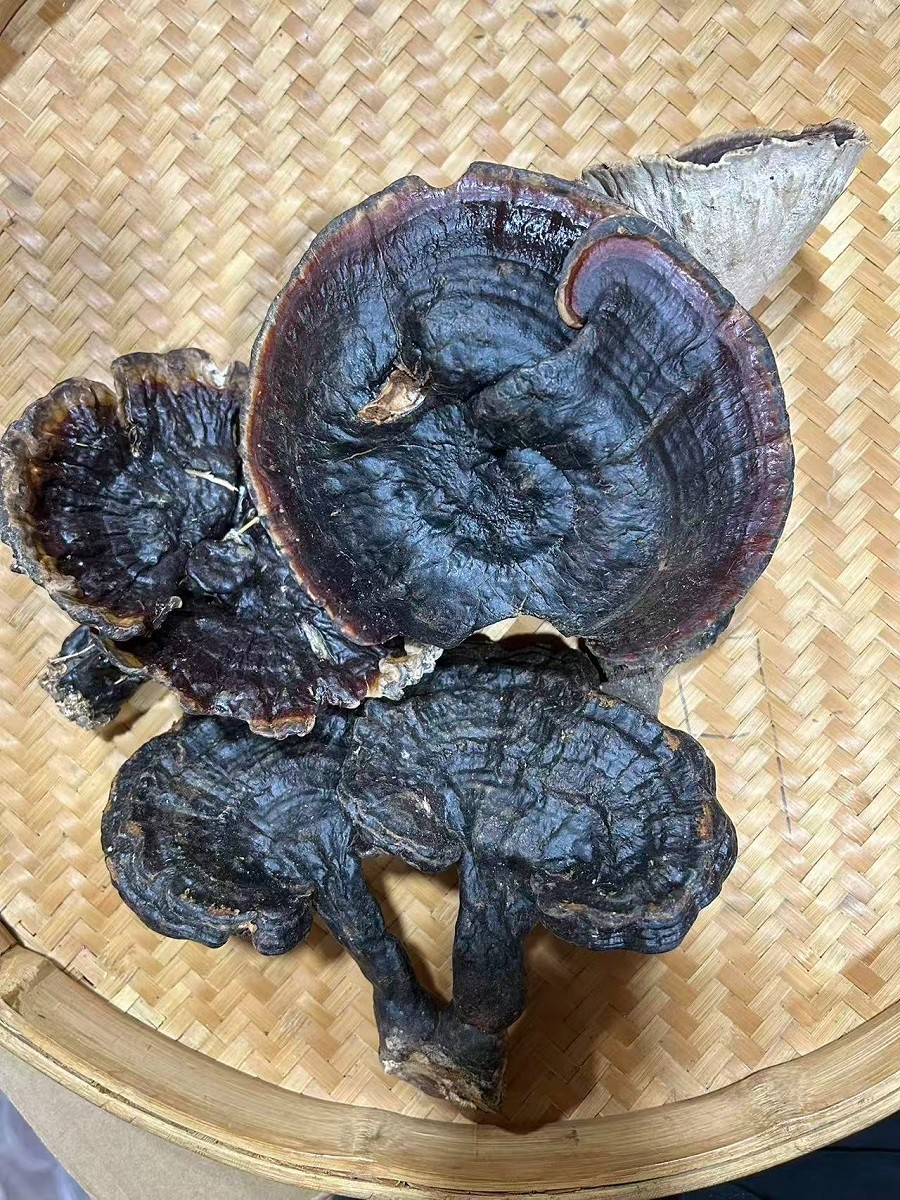 176200203488400042062337899051962563.jpg 0a9dc97fa46376d44193ce768b04be55.jpg