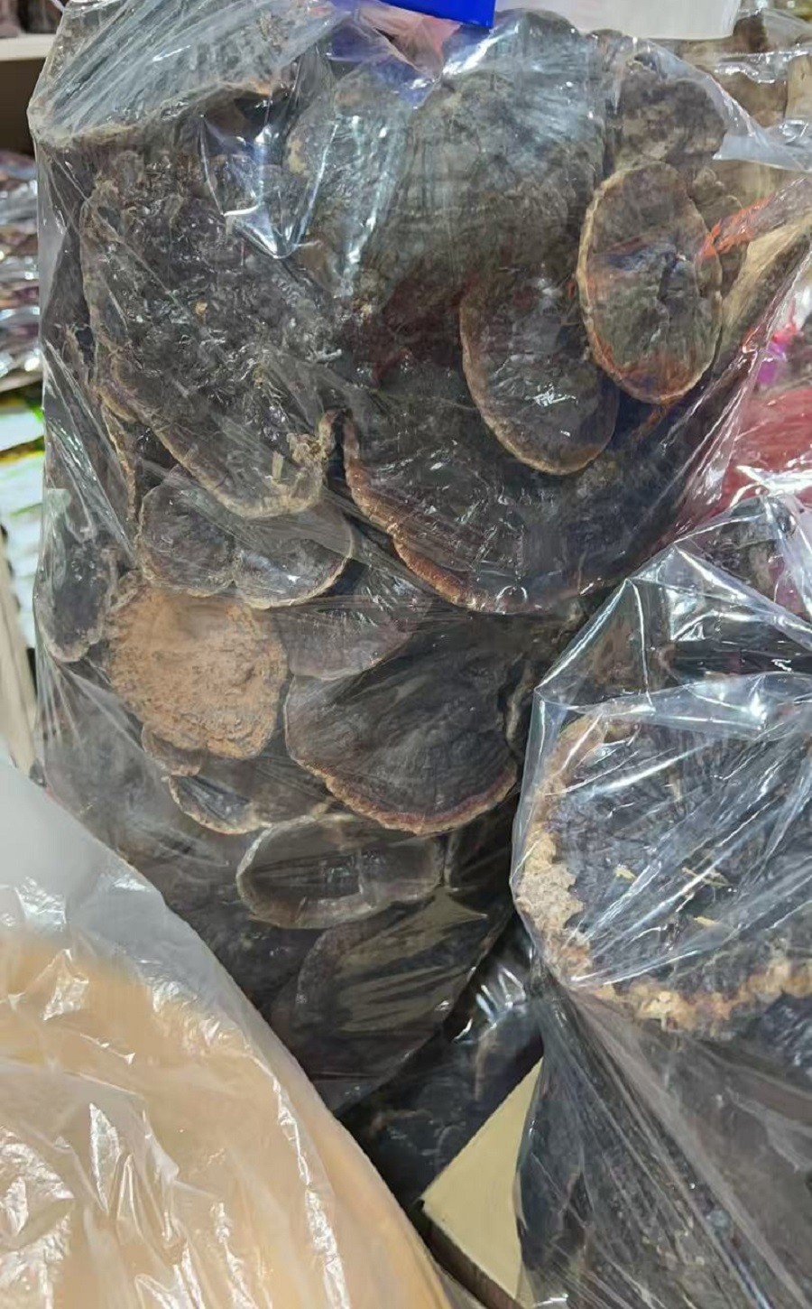 176200206113200053992906339891884661.jpg eb91c2ec73814f40c19720cbc281c721.jpg