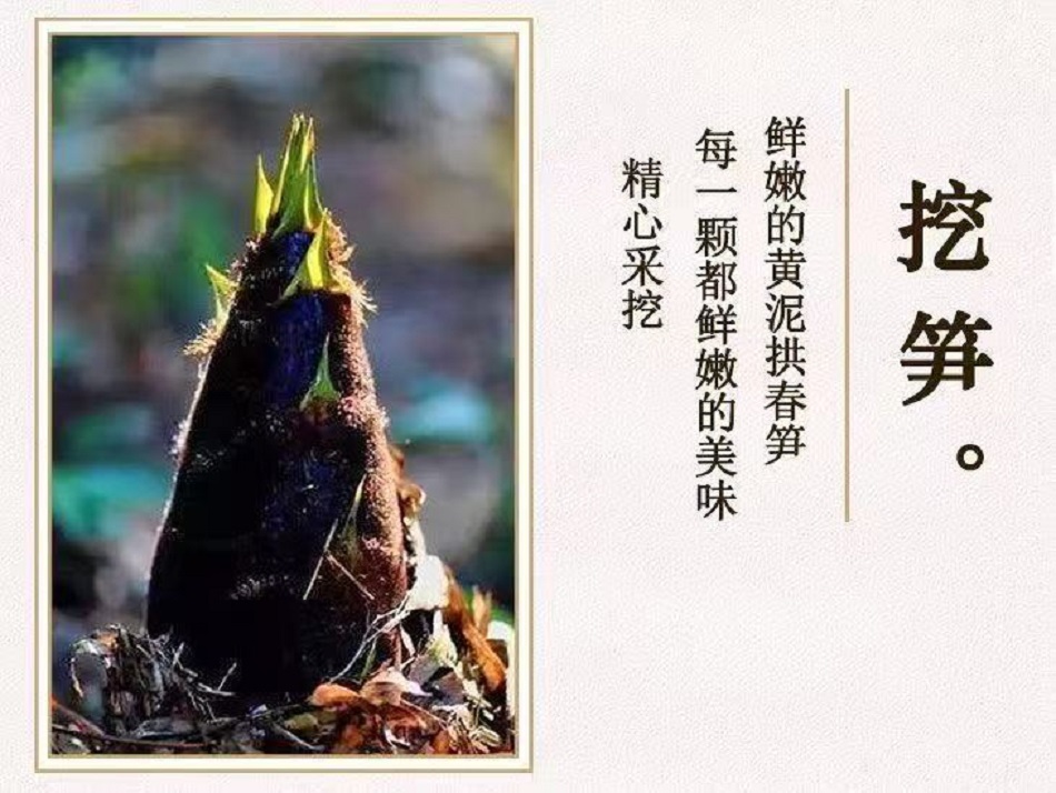 176284819276700048888351607202469666.jpg 1.jpg