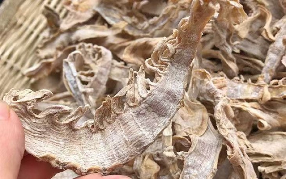 176284826588800040816266240058602613.jpg 5.jpg