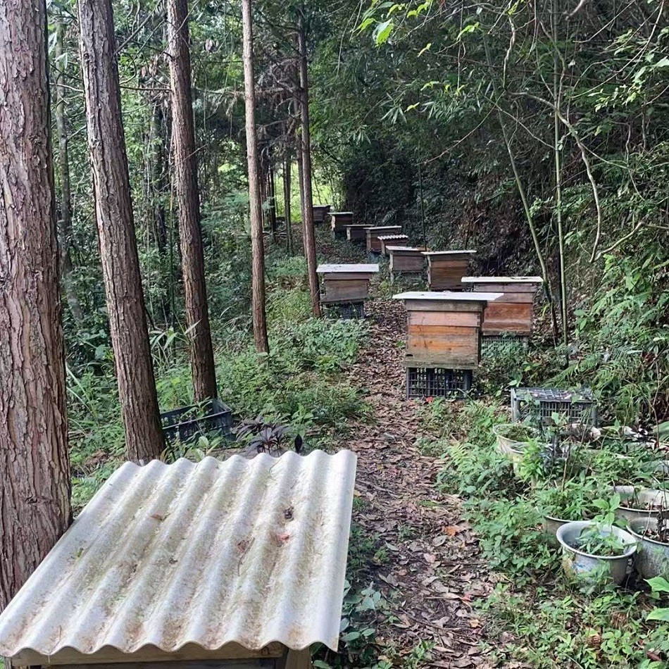 176309638695200067036308653212445870.jpg 998da75af49d121c650e6e1b4ba25be4.jpg