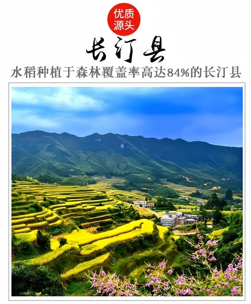 176475786814300023857670672754811252.jpg 11 - 副本.jpg