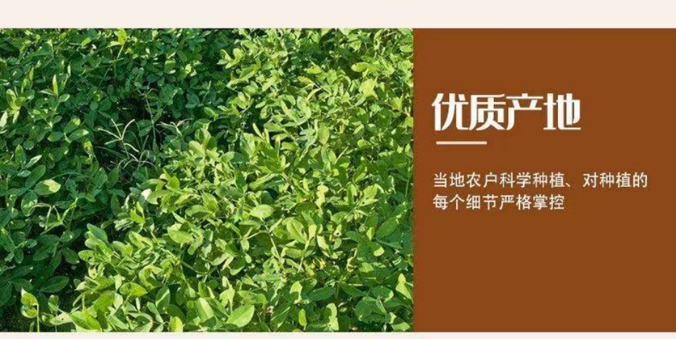 176578623926700075636505331668065399.jpg 6.jpg