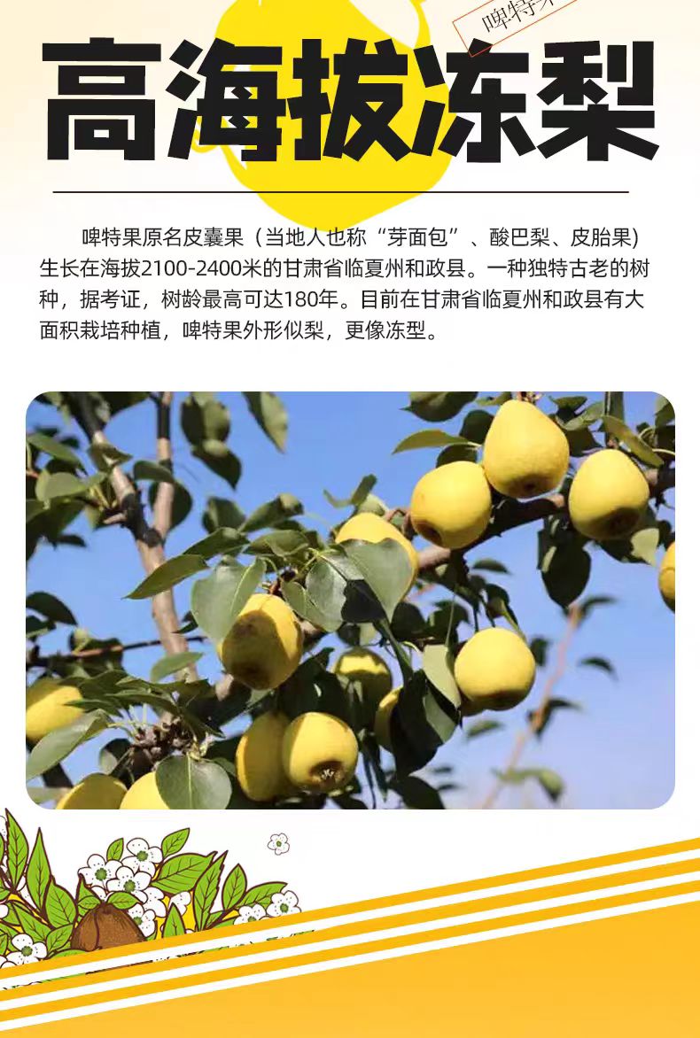 啤特果15 二 (1).jpg