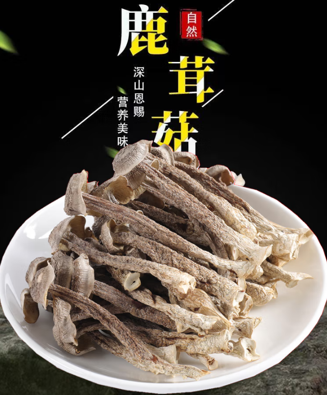 康县珍品鹿茸菇500.png