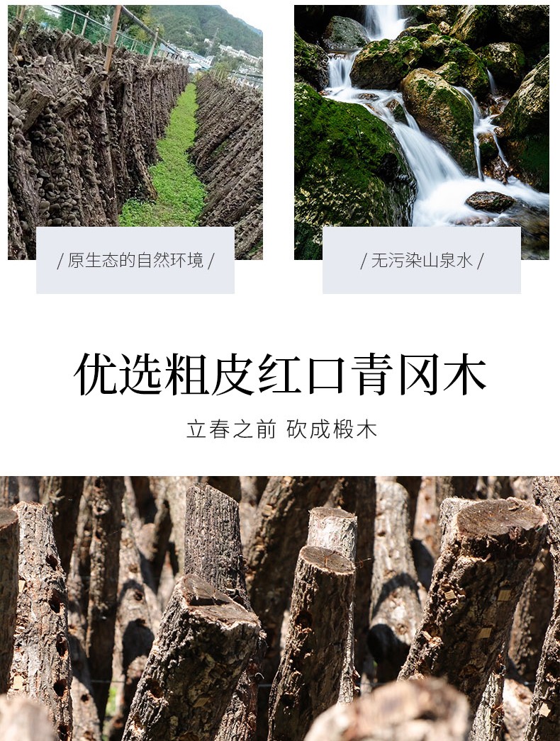 福小豆甘肃特产木耳_05.jpg