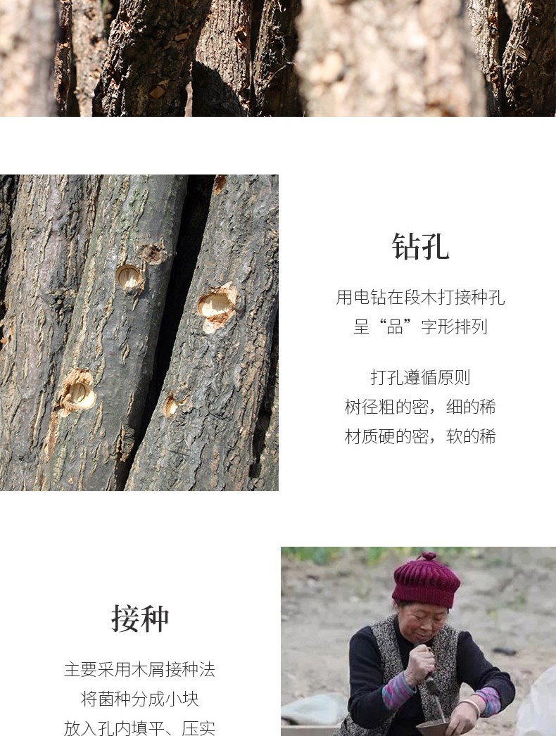 福小豆甘肃特产木耳_06.jpg