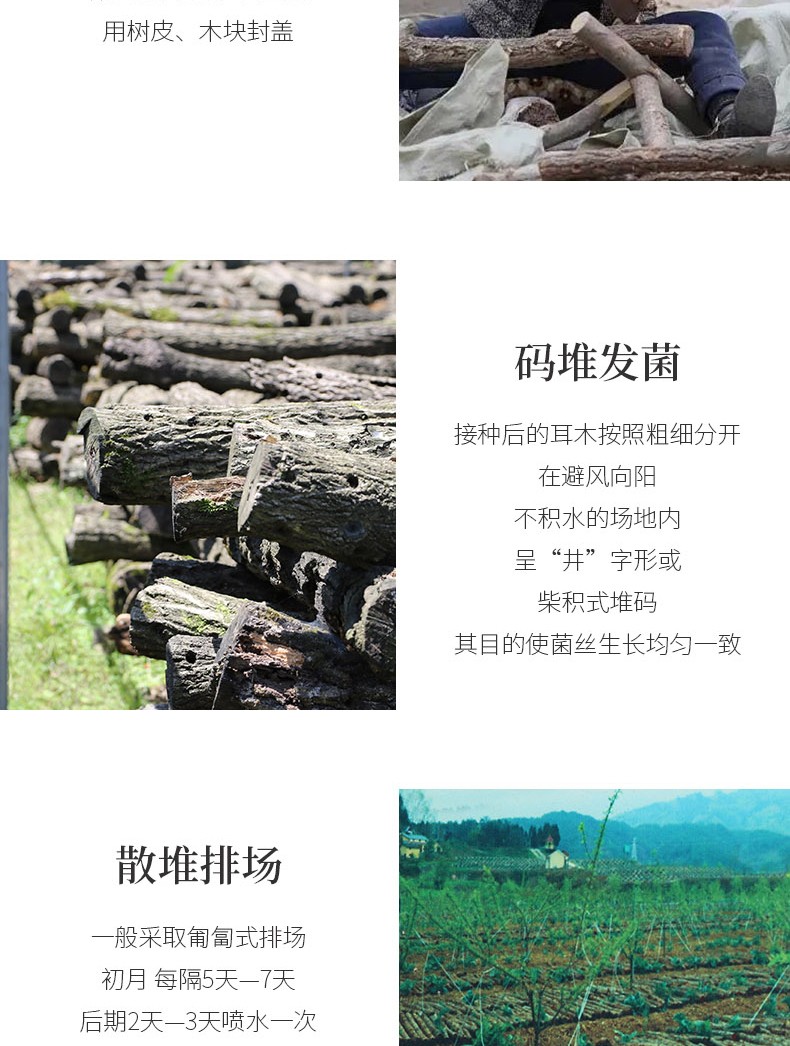 福小豆甘肃特产木耳_07.jpg