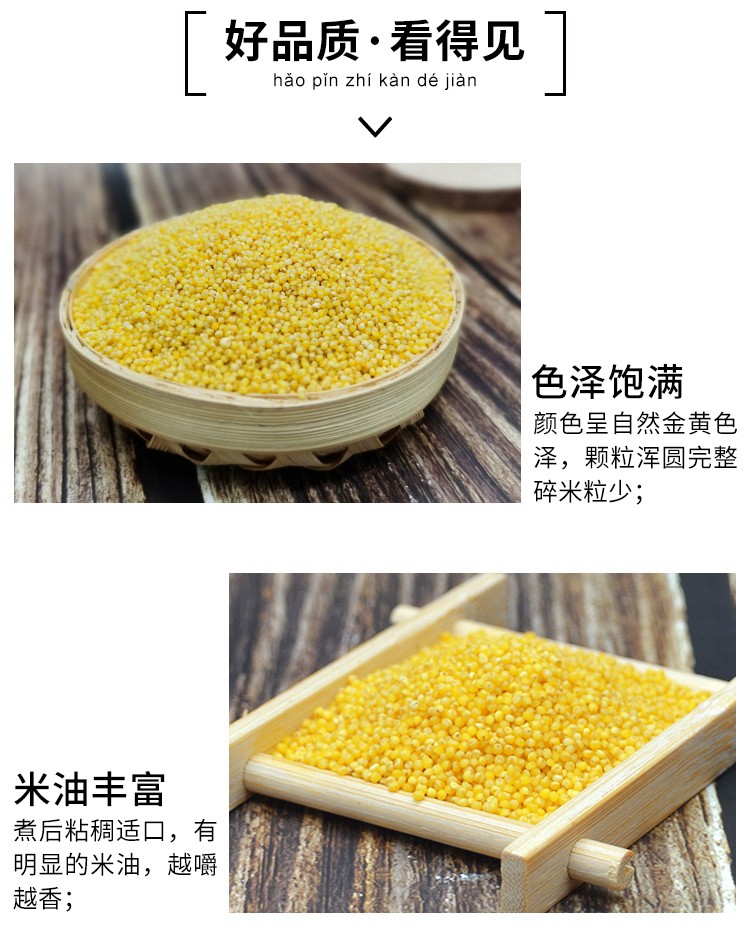 新小米800_02.jpg