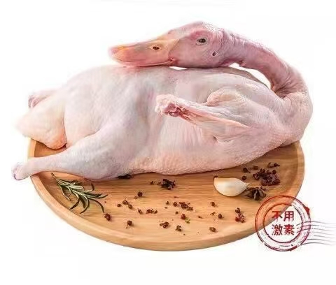 微信图片_20261014160010_34_11.jpg